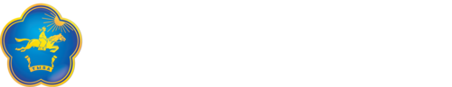 Министерство цифрового развития Республики Тыва
